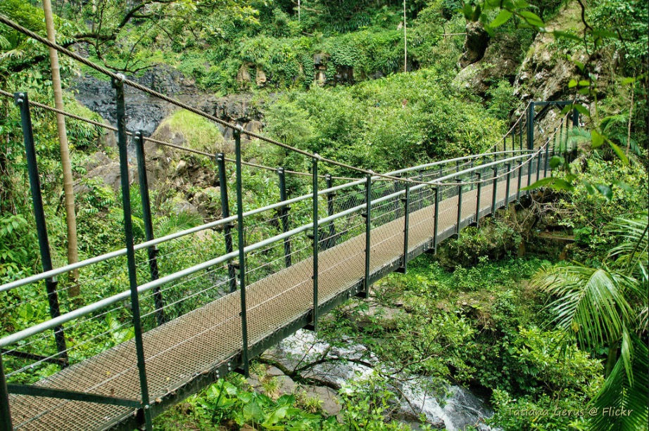 Bridge below Purling Brook Falls