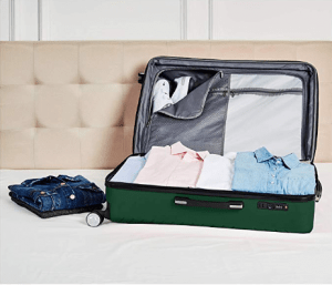 AmazonBasics Geometric Luggage Expandable Suitcase Spinner